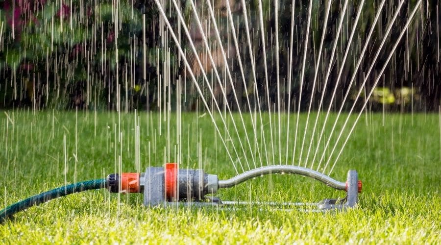 Cómo ahorrar agua en el jardín en verano