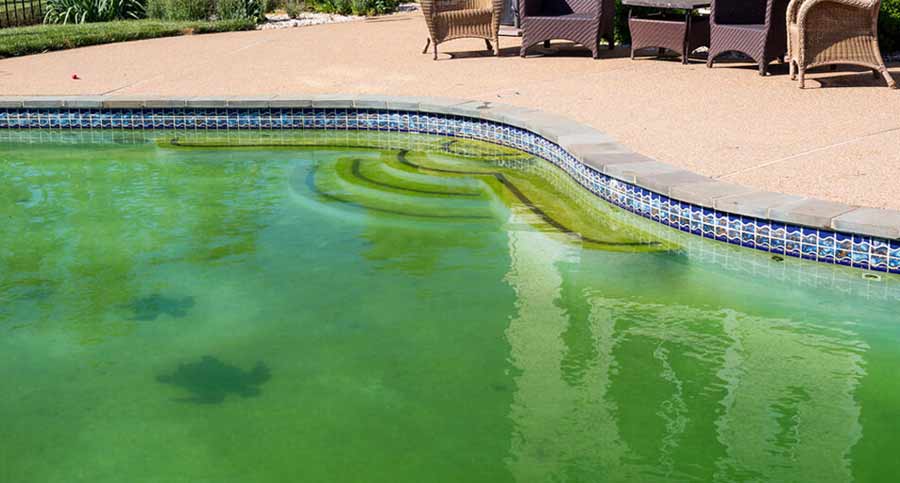 Cómo eliminar las algas de la piscina