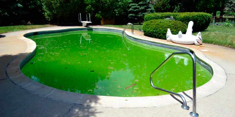 Cómo limpiar una piscina verde
